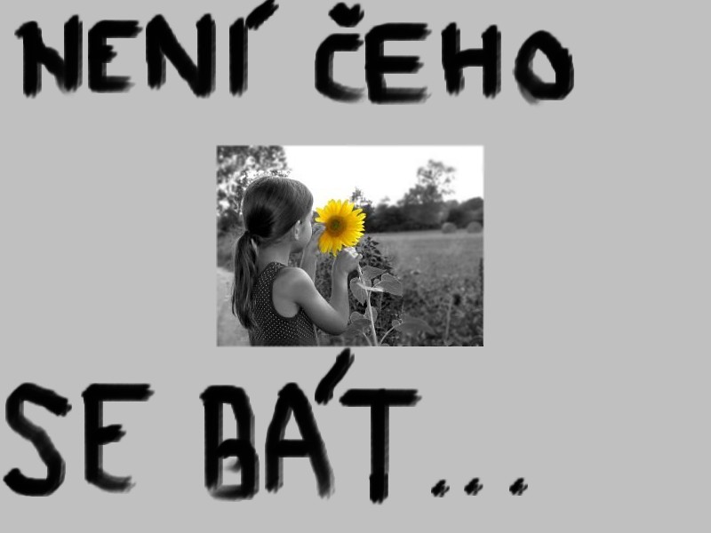 není čeho se bát.jpg